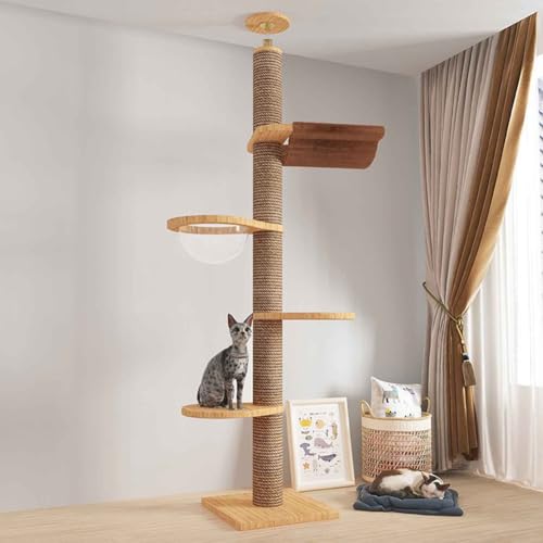 PJDDP Kratzbaum Hoch Stabil, Deckenspanner Kratzbaum, 5 Etagen Bis Zur Decke Reichender Katzenturm, Für Katzen Zum Klettern, Kratzen, Ausschau Halten Und Spielen,with Hammock PJDDP Kratzbaum Hoch Stabil, Deckenspanner Kratzbaum, 5 Etagen Bis Zur Decke Reichender Katzenturm, Für Katzen Zum Klettern, Kratzen, Ausschau Halten Und Spielen,with Hammock von PJDDP