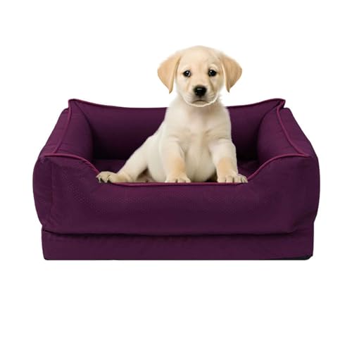 PJDDP Kühlbett Für Hunde, Waschbar Hundesofa Wasserdicht rutschfest, Hundecouch Mit Hohem Rand, Abnehmbarem, Waschbarem Bezug,Lila,M PJDDP Kühlbett Für Hunde, Waschbar Hundesofa Wasserdicht rutschfest, Hundecouch Mit Hohem Rand, Abnehmbarem, Waschbarem Bezug,Lila,M von PJDDP