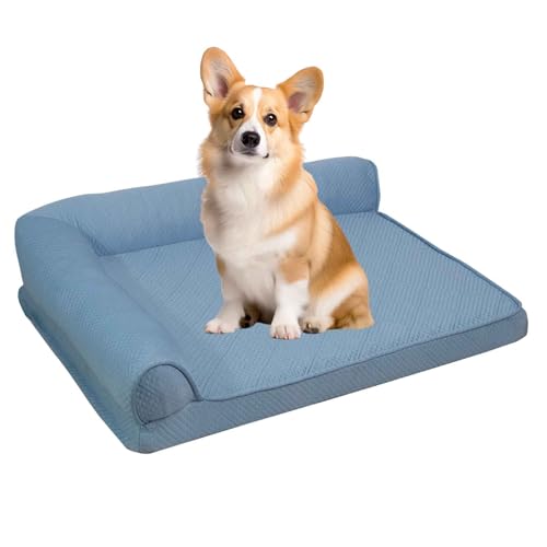 PJDDP Kühlmatte Für Hund, Kühlbett Für Hunde, Hundekühlmatte Selbstkühlend, Orthopädisches Hundebett Hunde Mit Eierförmiger Kistenschaum, Abnehmbarer Bezug,Blau,L PJDDP Kühlmatte Für Hund, Kühlbett Für Hunde, Hundekühlmatte Selbstkühlend, Orthopädisches Hundebett Hunde Mit Eierförmiger Kistenschaum, Abnehmbarer Bezug,Blau,L von PJDDP