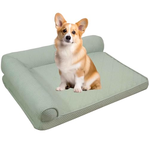 PJDDP Kühlmatte Für Hund, Kühlbett Für Hunde, Hundekühlmatte Selbstkühlend, Orthopädisches Hundebett Hunde Mit Eierförmiger Kistenschaum, Abnehmbarer Bezug,Grün,L PJDDP Kühlmatte Für Hund, Kühlbett Für Hunde, Hundekühlmatte Selbstkühlend, Orthopädisches Hundebett Hunde Mit Eierförmiger Kistenschaum, Abnehmbarer Bezug,Grün,L von PJDDP