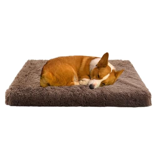 PJDDP Orthopädisches Hundebett, Ergonomisches Hundesofa, Waschbar rutschfest Hundebetten, rutschfest Hundebetten Mit Waschbarem Und Reißverschlussbezug,Khaki,S PJDDP Orthopädisches Hundebett, Ergonomisches Hundesofa, Waschbar rutschfest Hundebetten, rutschfest Hundebetten Mit Waschbarem Und Reißverschlussbezug,Khaki,S von PJDDP