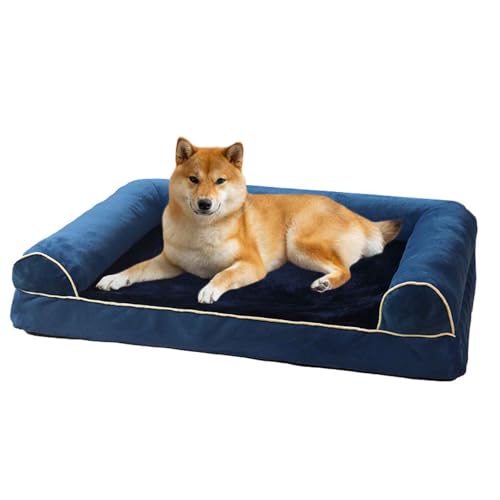 PJDDP Orthopädisches Hundebett, Gemütliches Waschbares Hundecouch Hunde Bettchen, Waschbar rutschfest Hundebetten Für Kleine, Mittelgroße & Große Hunde, Katzen,Blau,S PJDDP Orthopädisches Hundebett, Gemütliches Waschbares Hundecouch Hunde Bettchen, Waschbar rutschfest Hundebetten Für Kleine, Mittelgroße & Große Hunde, Katzen,Blau,S von PJDDP