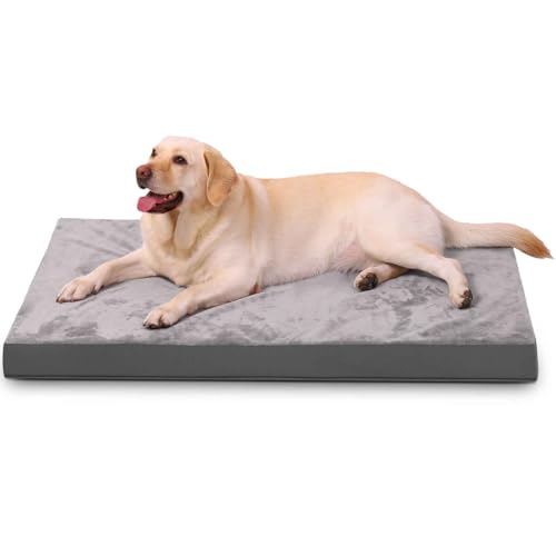 PJDDP Orthopädisches Hundebett, Hundekissen, Hundesofa Mit Eierförmiger Kistenschaum Und Wasserdichtes Innenfutter, rutschfeste Unterseite, Für Kleine Mittelgroße Und Große Hunde,S PJDDP Orthopädisches Hundebett, Hundekissen, Hundesofa Mit Eierförmiger Kistenschaum Und Wasserdichtes Innenfutter, rutschfeste Unterseite, Für Kleine Mittelgroße Und Große Hunde,S von PJDDP