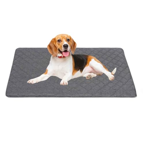 PJDDP Orthopädisches Hundebett, Hundekissen Mit Abnehmbarem Waschbarem Bezug, rutschfeste Unterseite, Betten Perfekt Für Heißen Sommer,Dark Gray,XXL PJDDP Orthopädisches Hundebett, Hundekissen Mit Abnehmbarem Waschbarem Bezug, rutschfeste Unterseite, Betten Perfekt Für Heißen Sommer,Dark Gray,XXL von PJDDP