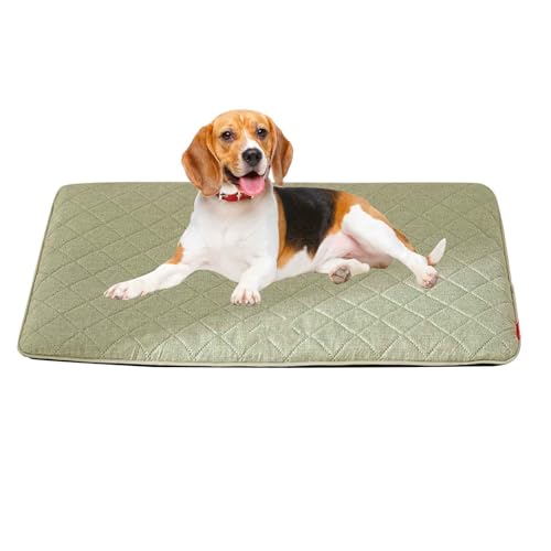 PJDDP Orthopädisches Hundebett, Hundekissen Mit Abnehmbarem Waschbarem Bezug, rutschfeste Unterseite, Betten Perfekt Für Heißen Sommer,Grün,XL von PJDDP