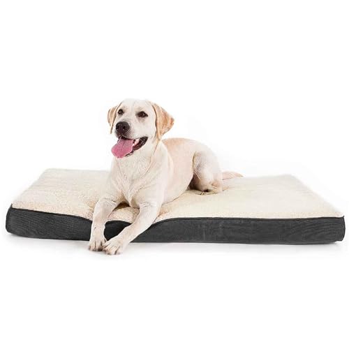 PJDDP Orthopädisches Hundebett, Robustes Heimtierkissen, Kuscheliges Hundekissen, Hundesofa Waschbar Mit Eiförmigem Kistenschaum Und Wendekissen,Gray+White,L PJDDP Orthopädisches Hundebett, Robustes Heimtierkissen, Kuscheliges Hundekissen, Hundesofa Waschbar Mit Eiförmigem Kistenschaum Und Wendekissen,Gray+White,L von PJDDP
