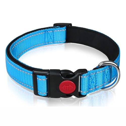 PJDDP Reflektierendes Hundehalsband, Gepolstert Mit Weichem Neopren, Atmungsaktiv, Schnellverschluss, Einfache Hundehalsbänder,Blau,L PJDDP Reflektierendes Hundehalsband, Gepolstert Mit Weichem Neopren, Atmungsaktiv, Schnellverschluss, Einfache Hundehalsbänder,Blau,L von PJDDP