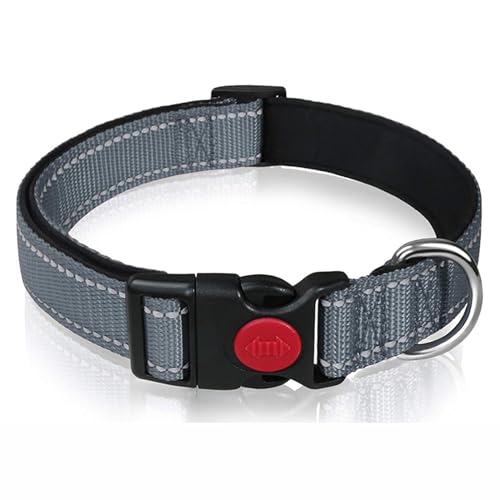 PJDDP Reflektierendes Hundehalsband, Gepolstert Mit Weichem Neopren, Atmungsaktiv, Schnellverschluss, Einfache Hundehalsbänder,Blau,M PJDDP Reflektierendes Hundehalsband, Gepolstert Mit Weichem Neopren, Atmungsaktiv, Schnellverschluss, Einfache Hundehalsbänder,Blau,M von PJDDP