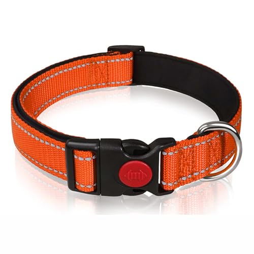PJDDP Reflektierendes Hundehalsband, Gepolstert Mit Weichem Neopren, Atmungsaktiv, Schnellverschluss, Einfache Hundehalsbänder,Grün,L PJDDP Reflektierendes Hundehalsband, Gepolstert Mit Weichem Neopren, Atmungsaktiv, Schnellverschluss, Einfache Hundehalsbänder,Grün,L von PJDDP
