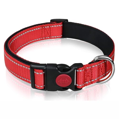 PJDDP Reflektierendes Hundehalsband, Gepolstert Mit Weichem Neopren, Atmungsaktiv, Schnellverschluss, Einfache Hundehalsbänder,Orange,L PJDDP Reflektierendes Hundehalsband, Gepolstert Mit Weichem Neopren, Atmungsaktiv, Schnellverschluss, Einfache Hundehalsbänder,Orange,L von PJDDP