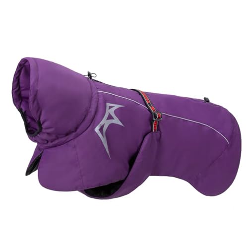 PJDDP Rollkragenhundemantel, Wasserdichter Hundemantel Mit Schnalle Winterhundemantel Mit Eingebautem Geschirr Reflektierend Für Sicherheit Reißverschlussöffnung Für Geschirr,Lila,XXL PJDDP Rollkragenhundemantel, Wasserdichter Hundemantel Mit Schnalle Winterhundemantel Mit Eingebautem Geschirr Reflektierend Für Sicherheit Reißverschlussöffnung Für Geschirr,Lila,XXL von PJDDP
