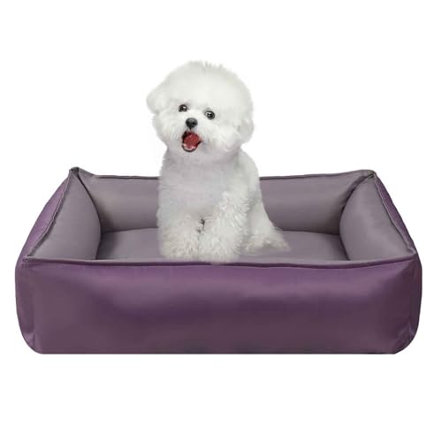 PJDDP Sommer Kühlkissen Für Hunde, Hundebett, Hundesofa Mit Bezug Abziehbar, Waschbar, rutschfeste Unterseite, Perfekt Für Heißen Sommer,Lila,M PJDDP Sommer Kühlkissen Für Hunde, Hundebett, Hundesofa Mit Bezug Abziehbar, Waschbar, rutschfeste Unterseite, Perfekt Für Heißen Sommer,Lila,M von PJDDP