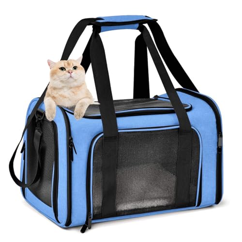 PJDDP Tragbare Katzen-/Hunde-/Haustiertragetasche Mit Schultergurt Und Abnehmbarer Matte, Welpen-Reisetragetasche Für Katzen/Hunde/Haustiere,Blau,L von PJDDP