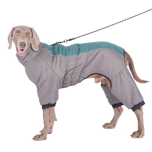 PJDDP Vier -Beinhund -Mantel wasserdicht, reflektierender Hunde Wintermantel Ganzer Körper Winterhundweste mit gebautem Geschirr Hundejacke mit Reißverschluss,Grün,3XL von PJDDP