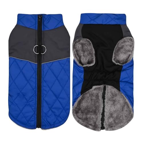 PJDDP Warme Haustier Jacke, Hundejacke Wasserdicht Mit Sicheren Reflektierenden Streifen & Geschirrschnalle Für Kleine, Mittlere, Große Hund,Blau,S von PJDDP
