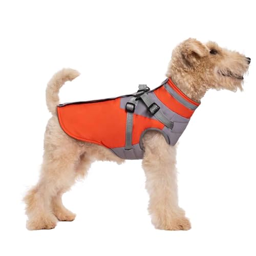 PJDDP Warme Hundejacke, Hunde Winterjacken, Winddichte Hundemantel, Wasserdichter Hundemantel, Reflektierend Hundemäntel, Für Kaltes Wetter Für Kleine Hunde,Orange,S PJDDP Warme Hundejacke, Hunde Winterjacken, Winddichte Hundemantel, Wasserdichter Hundemantel, Reflektierend Hundemäntel, Für Kaltes Wetter Für Kleine Hunde,Orange,S von PJDDP