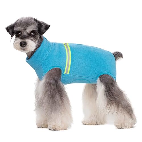 PJDDP Warmer Hundemantel, Winddichte Jacke, Hundeweste, Winter Hundemantel Mit D-Ring Und Reflektierender Streifen, Für Kleine Hund, Spazierengehen, Wandern,Blau,XS PJDDP Warmer Hundemantel, Winddichte Jacke, Hundeweste, Winter Hundemantel Mit D-Ring Und Reflektierender Streifen, Für Kleine Hund, Spazierengehen, Wandern,Blau,XS von PJDDP