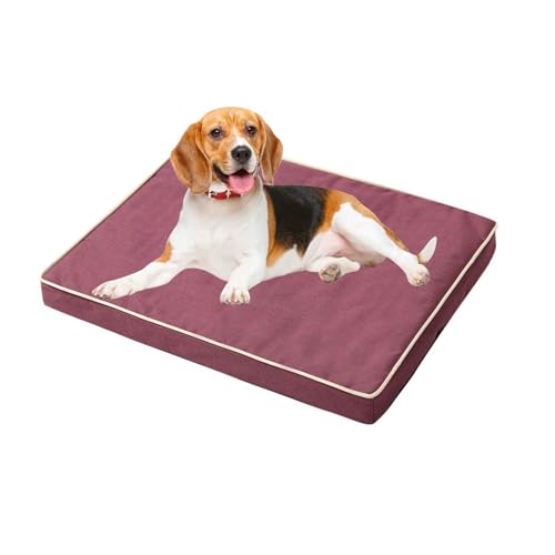 PJDDP Waschbare Hundematte,Wasserfest, rutschfest, Atmungsaktiv, Hundebett Mit Abnehmbarem Und Waschbarem Kissen,Rutschfester Unterseite,Light Purple,S PJDDP Waschbare Hundematte,Wasserfest, rutschfest, Atmungsaktiv, Hundebett Mit Abnehmbarem Und Waschbarem Kissen,Rutschfester Unterseite,Light Purple,S von PJDDP