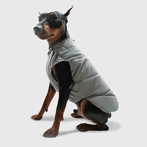 PJDDP Wasserdichter Hundejacke, Windabweisender, Ultraleichter Und Reflektierender Hundemantel, Hundeschneejacke Für Kleine, Mittlere Hunde,L PJDDP Wasserdichter Hundejacke, Windabweisender, Ultraleichter Und Reflektierender Hundemantel, Hundeschneejacke Für Kleine, Mittlere Hunde,L von PJDDP