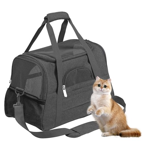 PJDDP Weicher Komfort-Katzenträger, Tragbare Haustier-Reisetasche Für Welpen/Hunde Mit Schultergurt Und Abnehmbarer Matte, Für Reisen, Spaziergänge Im Freien,Schwarz,L PJDDP Weicher Komfort-Katzenträger, Tragbare Haustier-Reisetasche Für Welpen/Hunde Mit Schultergurt Und Abnehmbarer Matte, Für Reisen, Spaziergänge Im Freien,Schwarz,L von PJDDP