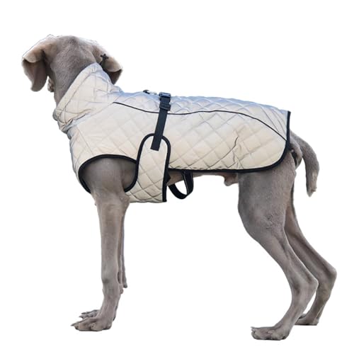 PJDDP Winter-Hundemantel, Warmer Hundemantel, reflektierende Hundejacke, verstellbare Schnalle, Hundemantel, hoher Kragen, Hunde-Winterjacke, Weste, Kleidung,Silber,XXL von PJDDP