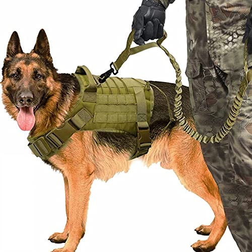 PJDDP Taktisches Hundewestengeschirr Mit Hundeleine, Service-Hundeweste Für Spaziergänge, Wandertraining, Trainings-Hunde-Molle-Weste Mit Klettverschlüssen,Grün,M PJDDP Taktisches Hundewestengeschirr Mit Hundeleine, Service-Hundeweste Für Spaziergänge, Wandertraining, Trainings-Hunde-Molle-Weste Mit Klettverschlüssen,Grün,M von PJDDP