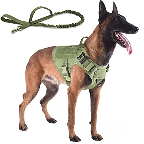 PJDDP Taktisches Westengeschirr Mit Bungee-Leine, Diensthundewestengeschirr Mit Griff, Kein Ziehen, Militärgeschirr, Militärhundeweste – Für Training, Wandern, Jagd, Arbeitsgeschirr,Grün,XL PJDDP Taktisches Westengeschirr Mit Bungee-Leine, Diensthundewestengeschirr Mit Griff, Kein Ziehen, Militärgeschirr, Militärhundeweste – Für Training, Wandern, Jagd, Arbeitsgeschirr,Grün,XL von PJDDP