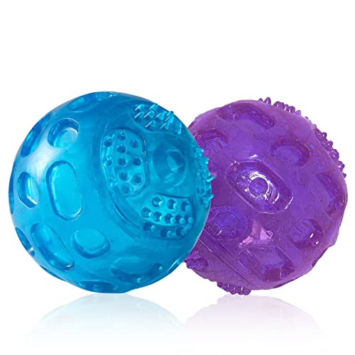 Hundespielzeug für Hunde, 8,1 cm, unzerstörbar, quietschender Ball für Training, Spielen, Blau + Violett, 2 Packungen von PJDH