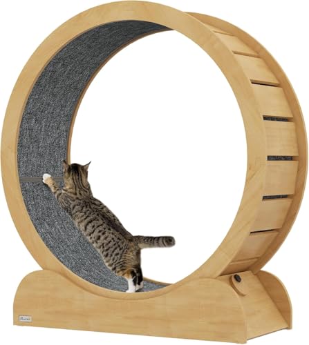 Großes Katzen-Trainingsrad für Hauskatzen, Außendurchmesser 120 cm, Katzenrad mit Sicherheitsschloss und austauschbarem Griffpolster, geräuschlose Rolle, Katzenlaufrad für Gewichtsverlust und Ex Großes Katzen-Trainingsrad für Hauskatzen, Außendurchmesser 120 cm, Katzenrad mit Sicherheitsschloss und austauschbarem Griffpolster, geräuschlose Rolle, Katzenlaufrad für Gewichtsverlust und Ex von PJGFBYT