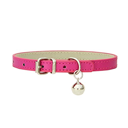PJRYC Halsband für Hunde und Katzen, verstellbar, Größe XS (UK) von PJRYC