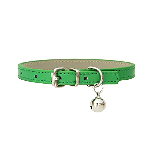 PJRYC Halsband für kleine Hunde und Katzen, verstellbar, Größe S von PJRYC