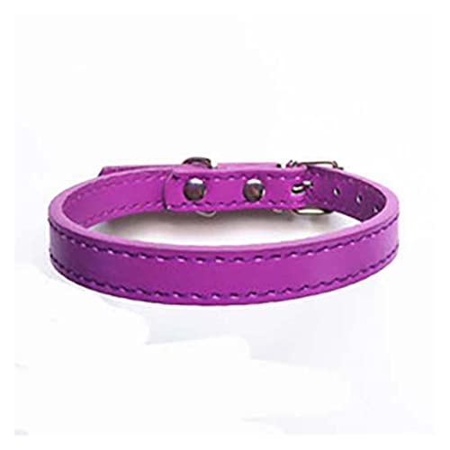 PJRYC Hundehalsband, Leder, für kleine, mittelgroße und große Hunde und Katzen geeignet, Farbe: 010, Größe: 32,8 cm von PJRYC