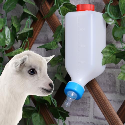 PKNYBZH Ziegenfütterungsflaschen 800ml Pet Feeder Flasche und Lamm Stillflasche, Viehflasche für Schaf, Lamm, Kalb und andere Säugetierfütterungsflaschen PKNYBZH Ziegenfütterungsflaschen 800ml Pet Feeder Flasche und Lamm Stillflasche, Viehflasche für Schaf, Lamm, Kalb und andere Säugetierfütterungsflaschen von PKNYBZH
