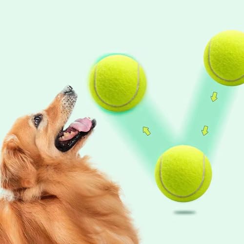 PKRANZYHKAL Tennisbälle für Hunde, hohe Sprungkraft, sicher und ungiftig, für Outdoor-Training und Spaß, 6 cm, Tennisbälle für Hunde, verbessern Bindung und Intelligenz, 12 Stück PKRANZYHKAL Tennisbälle für Hunde, hohe Sprungkraft, sicher und ungiftig, für Outdoor-Training und Spaß, 6 cm, Tennisbälle für Hunde, verbessern Bindung und Intelligenz, 12 Stück von PKRANZYHKAL