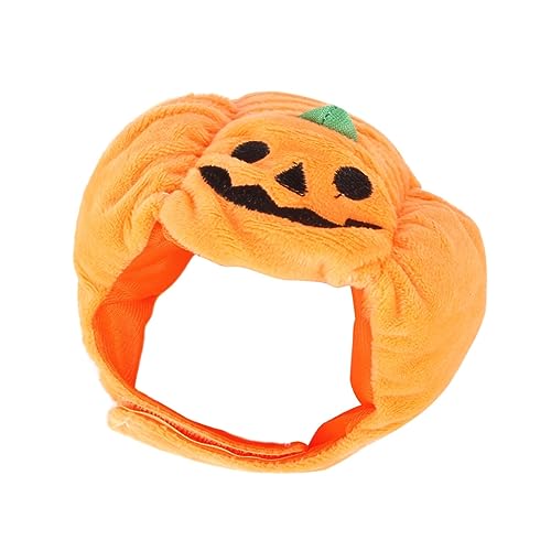 PLAFOPE 1stück Halloween Katzenkopfband Mit Lustigem Kürbisdesign Süßes Tierheaddress Für Katzen Und Kleine Hunde Für Halloween- Und Fotoshootings von PLAFOPE