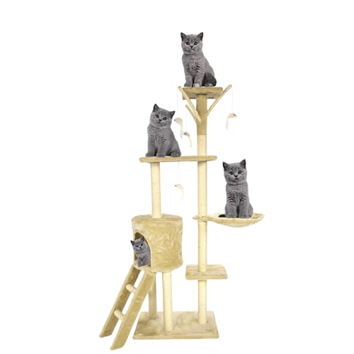 Kratzbaum für Katzen, mehrstufig, stabil, Kletterturm, Katzenaktivitätsbäume mit Leiter, Möbel-Spielhaus für Kätzchen, Indoor-Haustieraktivität (Beige, 49 x 35 x 138 cm) von PLASTIFIC
