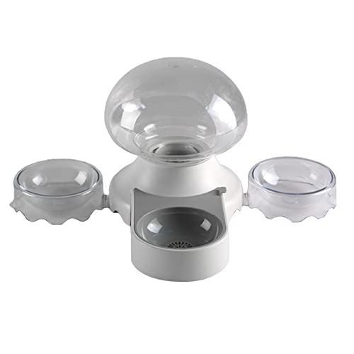 Katzen Wasserbrunnen Leise 2100ml Automatischer Haustier Hund Wasserspender Futterspender mit Futternäpfen für verschiedene Haustiere Indoor von PLCPDM