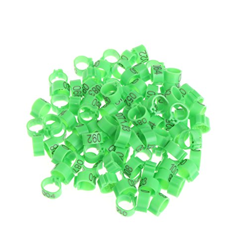 PLCPDM Beinringe für Hühner, Vögel, Identifikation, Beinbänder, Geflügel, 10 mm, für Tauben, Wachteln, 100 Stück PLCPDM Beinringe für Hühner, Vögel, Identifikation, Beinbänder, Geflügel, 10 mm, für Tauben, Wachteln, 100 Stück von PLCPDM