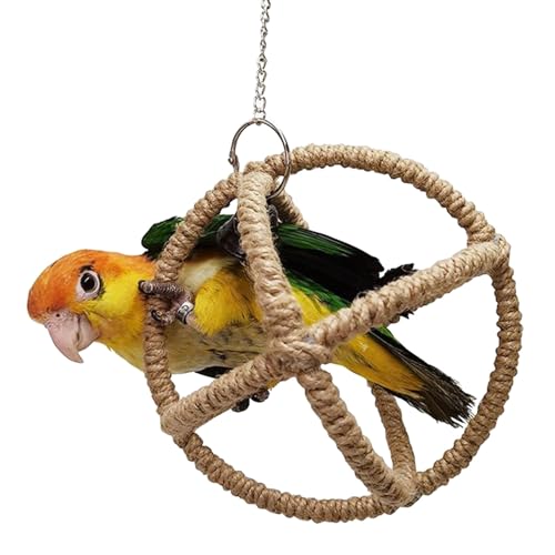 Papageien-Kauspielzeug mit kleinen Glocken, Molarwiderstand, Vogelreißspielzeug, Nymphensittiche, Training, hängende Vögel, Käfigzubehör Papageien-Kauspielzeug mit kleinen Glocken, Molarwiderstand, Vogelreißspielzeug, Nymphensittiche, Training, hängende Vögel, Käfigzubehör von PLCPDM