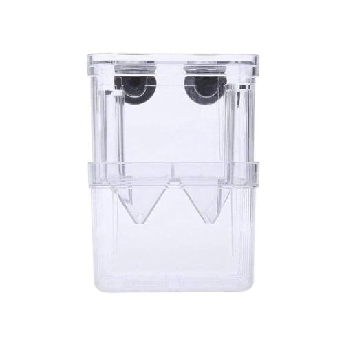 Große Acryl Fisch Zucht Box Aquarium Züchter Box Haustier Liefert Isolation S/L B5L9 Inkubator Guppies Schlüpfen Doppel Aquarium Große Acryl Fisch Zucht Box Aquarium Züchter Box Haustier Liefert Isolation S/L B5L9 Inkubator Guppies Schlüpfen Doppel Aquarium von PLGEBR