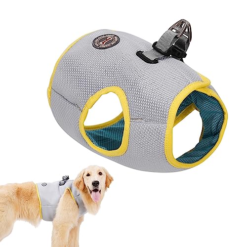 PLIAGE Cooles Hundegeschirr, Kühlweste für Hunde mit Kühlakkus, sofortige Kühlweste, atmungsaktive Hundekühlweste für heißes Wetter, Hunde-Kühljacke für Outdoor-Wandern, Training, Hunde- -Shirt PLIAGE Cooles Hundegeschirr, Kühlweste für Hunde mit Kühlakkus, sofortige Kühlweste, atmungsaktive Hundekühlweste für heißes Wetter, Hunde-Kühljacke für Outdoor-Wandern, Training, Hunde- -Shirt von PLIAGE