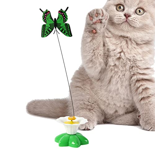 PLIAGE Katzenspielzeug, 360 ° drehbar, automatisches interaktives Katzenspielzeug, elektronisches bewegliches Katzenspielzeug, batteriebetrieben, freihändig, natürliches Vogelspielzeug, automatisches PLIAGE Katzenspielzeug, 360 ° drehbar, automatisches interaktives Katzenspielzeug, elektronisches bewegliches Katzenspielzeug, batteriebetrieben, freihändig, natürliches Vogelspielzeug, automatisches von PLIAGE