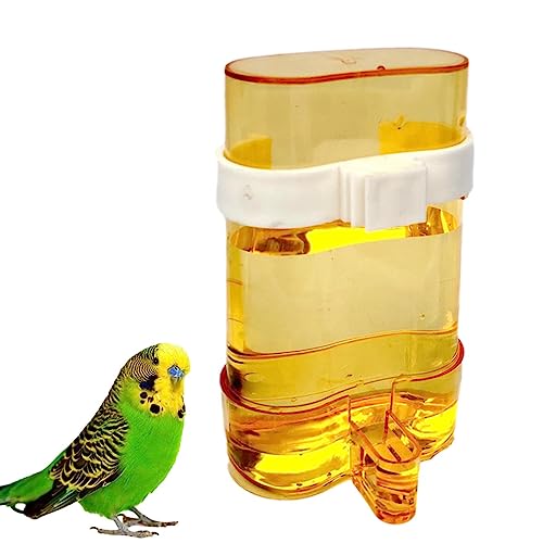Water Feeder Vogel, Transparent Automatische Hygienische Vogelfutterstation Wassernapf, Sicher Harmlos Haustier Zubehör mit Clip für Papageien Finken Nymphensittiche Sittiche Wellensittiche Water Feeder Vogel, Transparent Automatische Hygienische Vogelfutterstation Wassernapf, Sicher Harmlos Haustier Zubehör mit Clip für Papageien Finken Nymphensittiche Sittiche Wellensittiche von PLIAGE