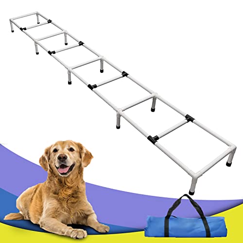 PLKO Agility-Trainingsleiter für Hunde, Agility-Trainingsgeräte, Haustier-Outdoor-Spiel PLKO Agility-Trainingsleiter für Hunde, Agility-Trainingsgeräte, Haustier-Outdoor-Spiel von PLKO