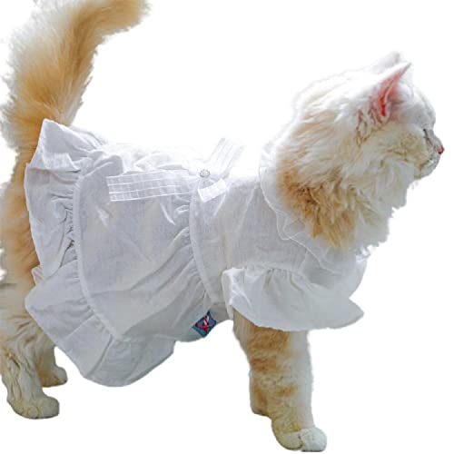 Mädchen-Hundekleidung, Kostüm, Bekleidung, Hochzeitskleid, Rüschen, Prinzessinnenkleid, Frühling, Sommer, für Welpen, Hunde und Katzen, Hunde-Hochzeitskleider für kleine Hunde und Mädchen Mädchen-Hundekleidung, Kostüm, Bekleidung, Hochzeitskleid, Rüschen, Prinzessinnenkleid, Frühling, Sommer, für Welpen, Hunde und Katzen, Hunde-Hochzeitskleider für kleine Hunde und Mädchen von PLMN