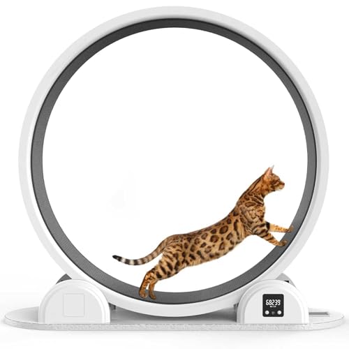 Katzenlaufrad Laufrad FüR Katzen Intelligent Mit Solaraufladung,Digitaler Sport Haustier Katze Laufrad Mit MeterzäHlung GroßEs üBungsrad FüR Katzen,Katzenlaufrad FüR Wohnungskatzen Katzenlaufrad Laufrad FüR Katzen Intelligent Mit Solaraufladung,Digitaler Sport Haustier Katze Laufrad Mit MeterzäHlung GroßEs üBungsrad FüR Katzen,Katzenlaufrad FüR Wohnungskatzen von PLSGKF