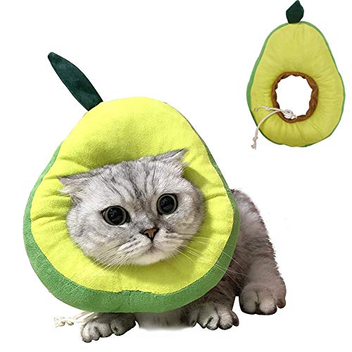 Halskrause Katzen Hundekragen Katzenkegel Katzenschutzhalsband Hunde-Anti-Biss-Halsband Medizinische Halsbänder für Hunde Kätzchenhalsband b,s von PLUS PO