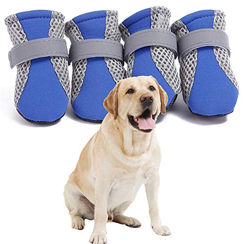 Hundestiefel Pfotenschutz Hund Hitze Hundeschuhe für große Hunde Hundepfotenschutz Hundestiefel für verletzte Pfoten wasserdicht Blue,XL von PLUS PO