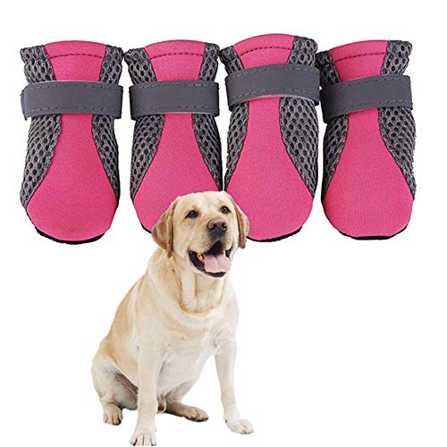 Hundestiefel Pfotenschutz Hund Hitze Hundeschuhe für große Hunde Hundepfotenschutz Hundestiefel für verletzte Pfoten wasserdicht pink,XL von PLUS PO