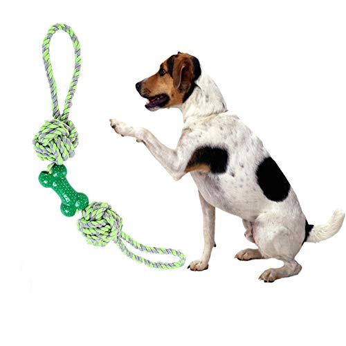 PLUS PO Frisbee Hund hundespielzeug für kleine Hunde Intelligenz Unzerstörbar Hund Spielzeug Welpen zahnen Spielzeug Hund behandelt für welpen Green von PLUS PO